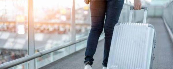 valise